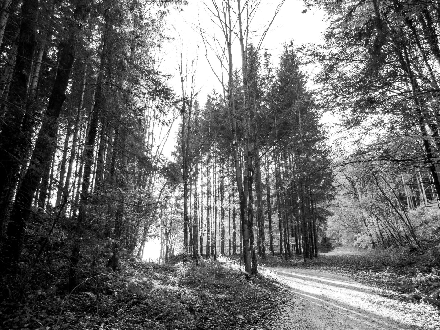 Eigentumswohnung, 8020 Graz, Gries