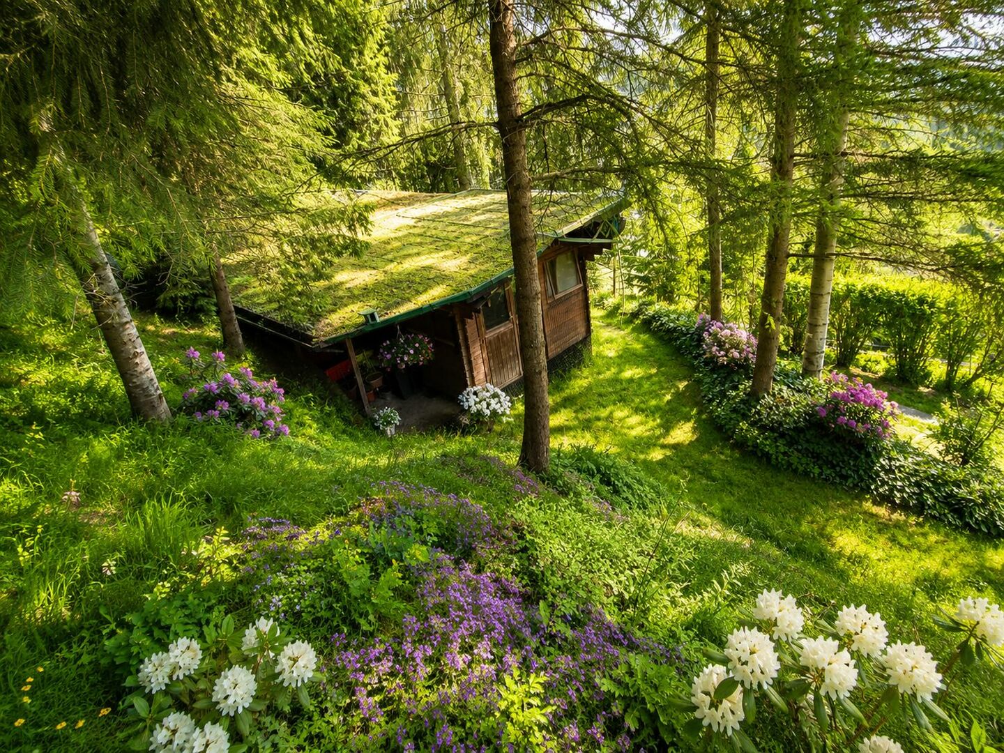 Bild 53