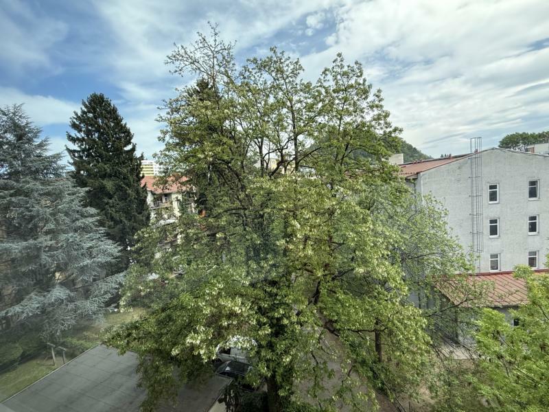 Bild 18