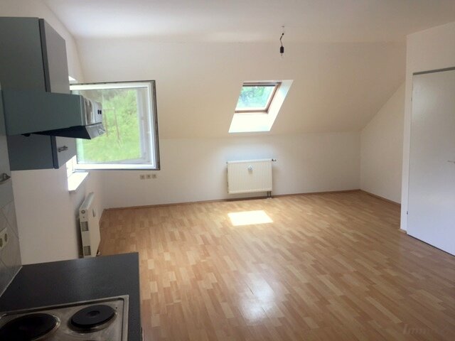 Bild 19