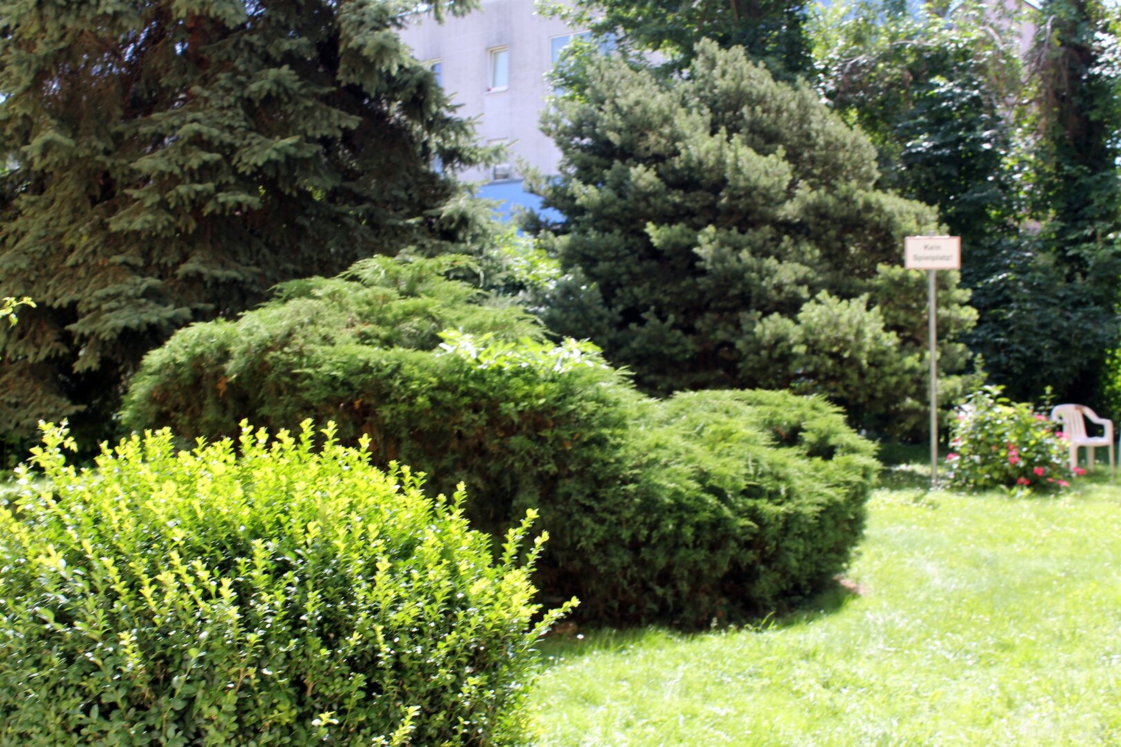 Bild 12