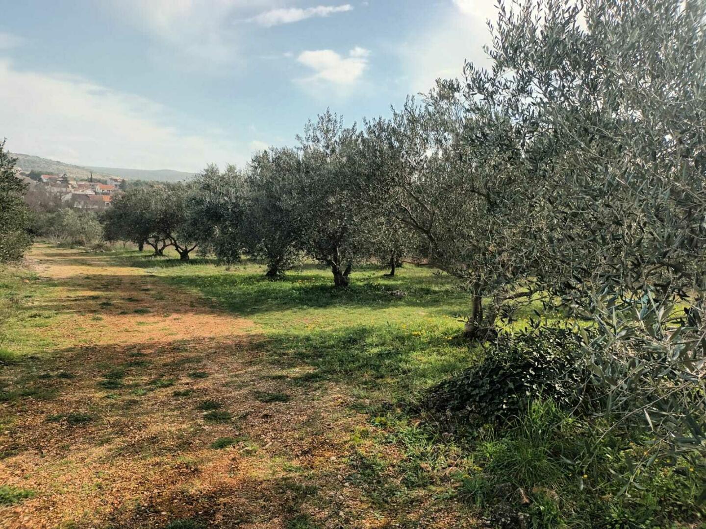 Grundstück, 22000 Bilice