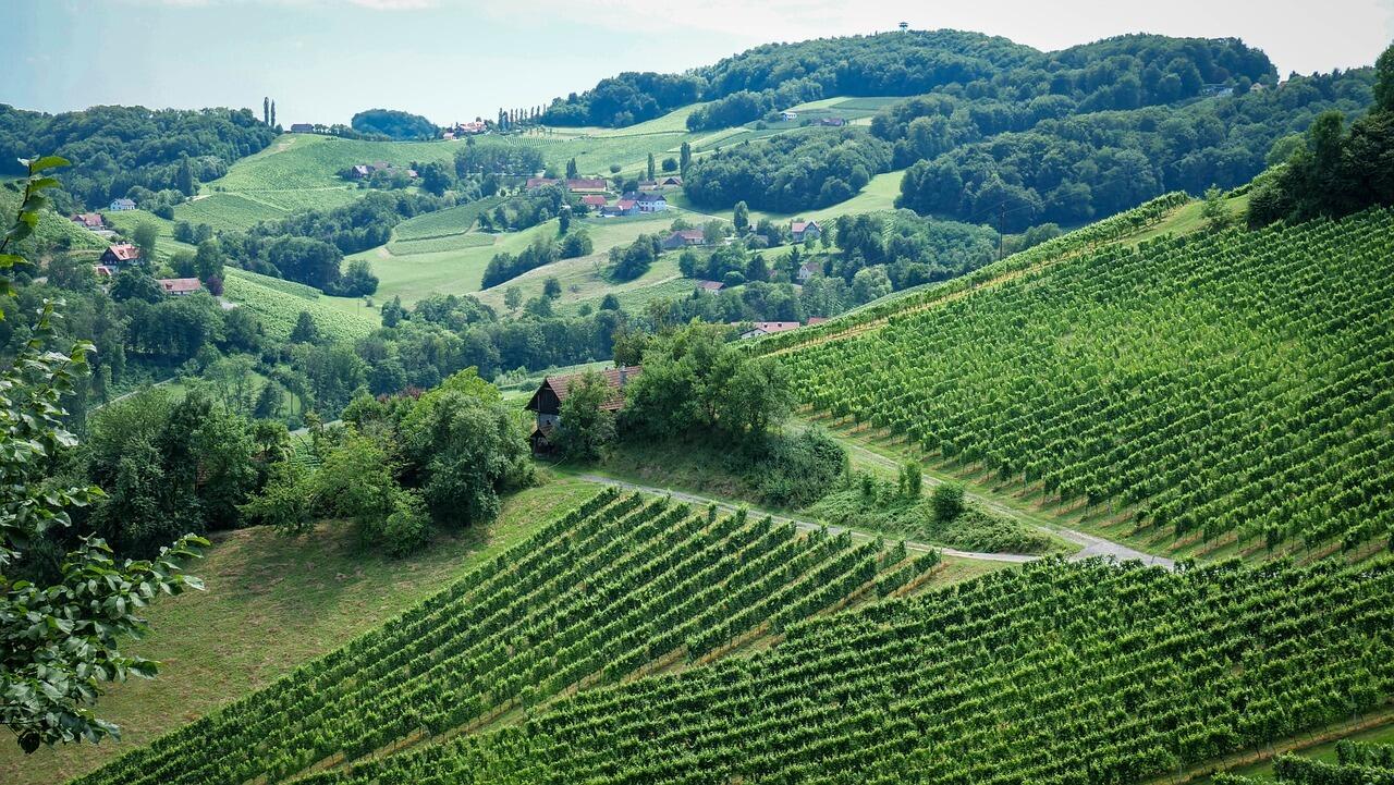 Grundstueck, 8452 Mattelsberg