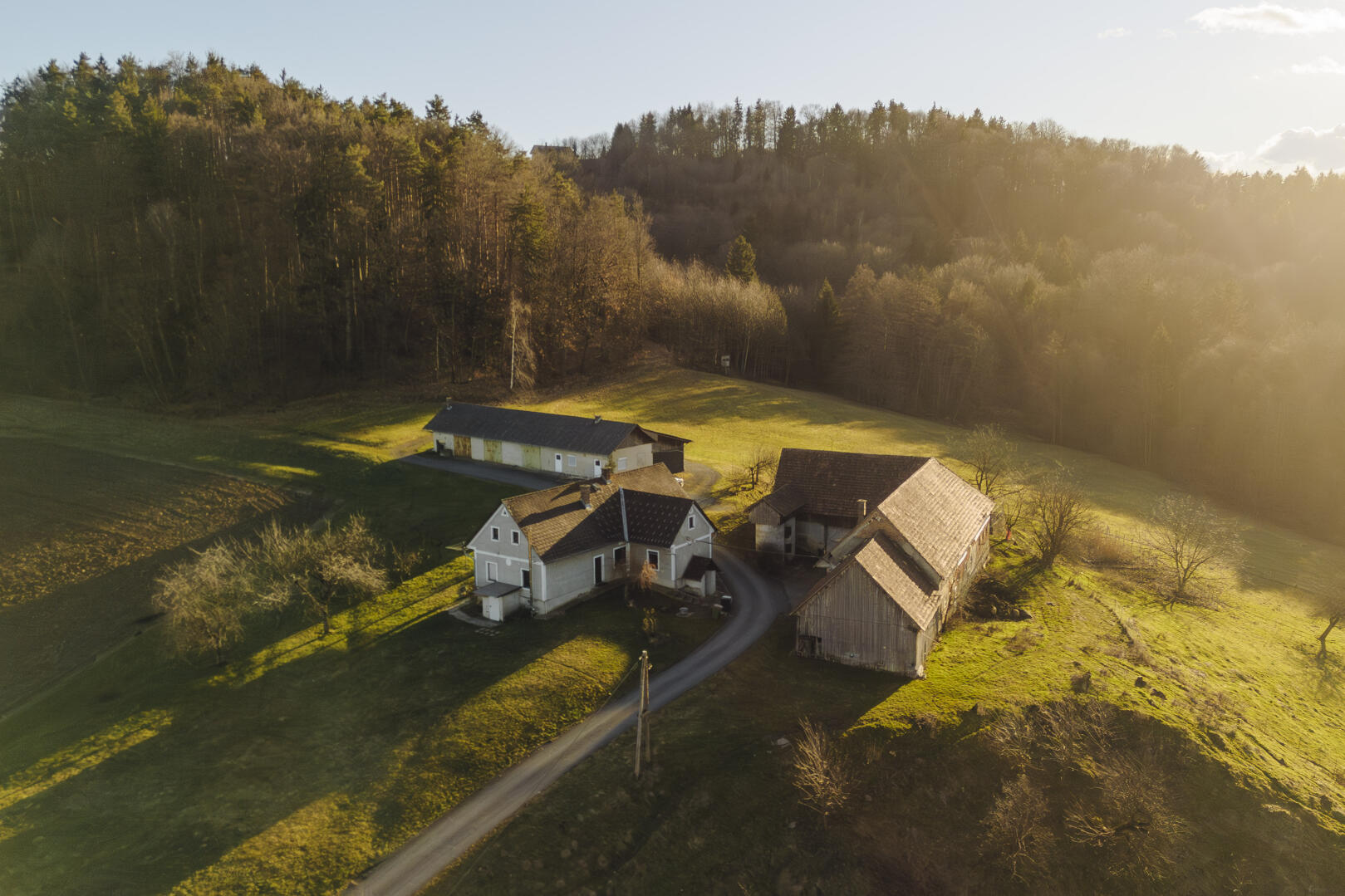 Landwirtschaft, 8461 Ratsch an der Weinstra�e