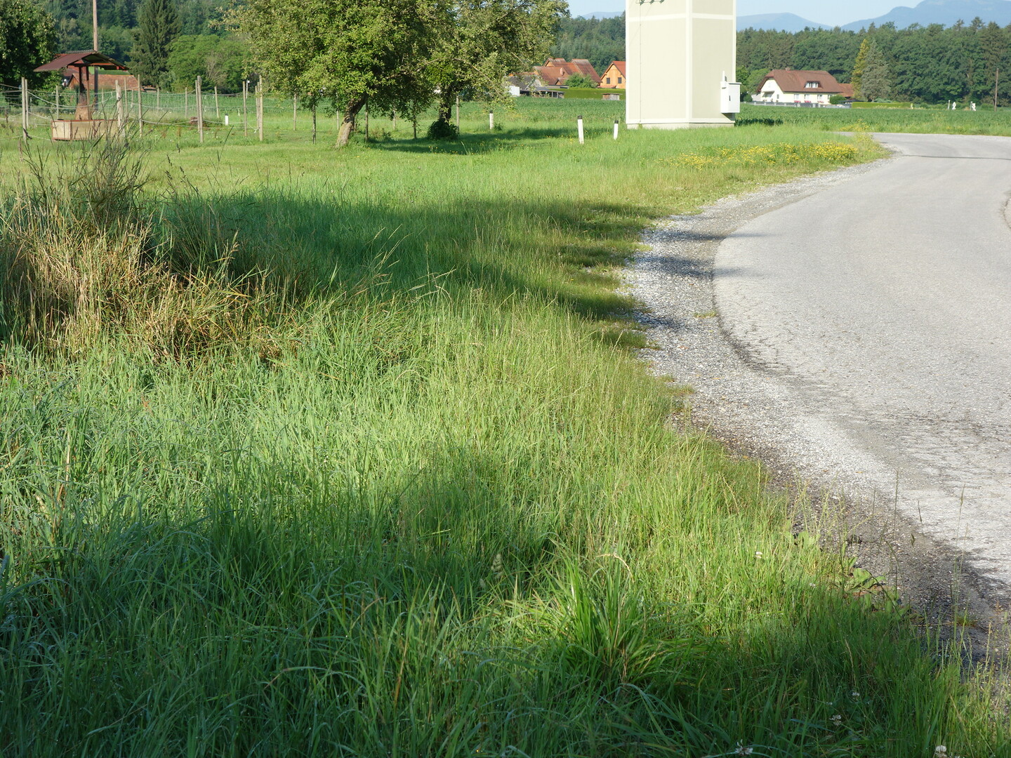 Grundstück, 8510 Stainz