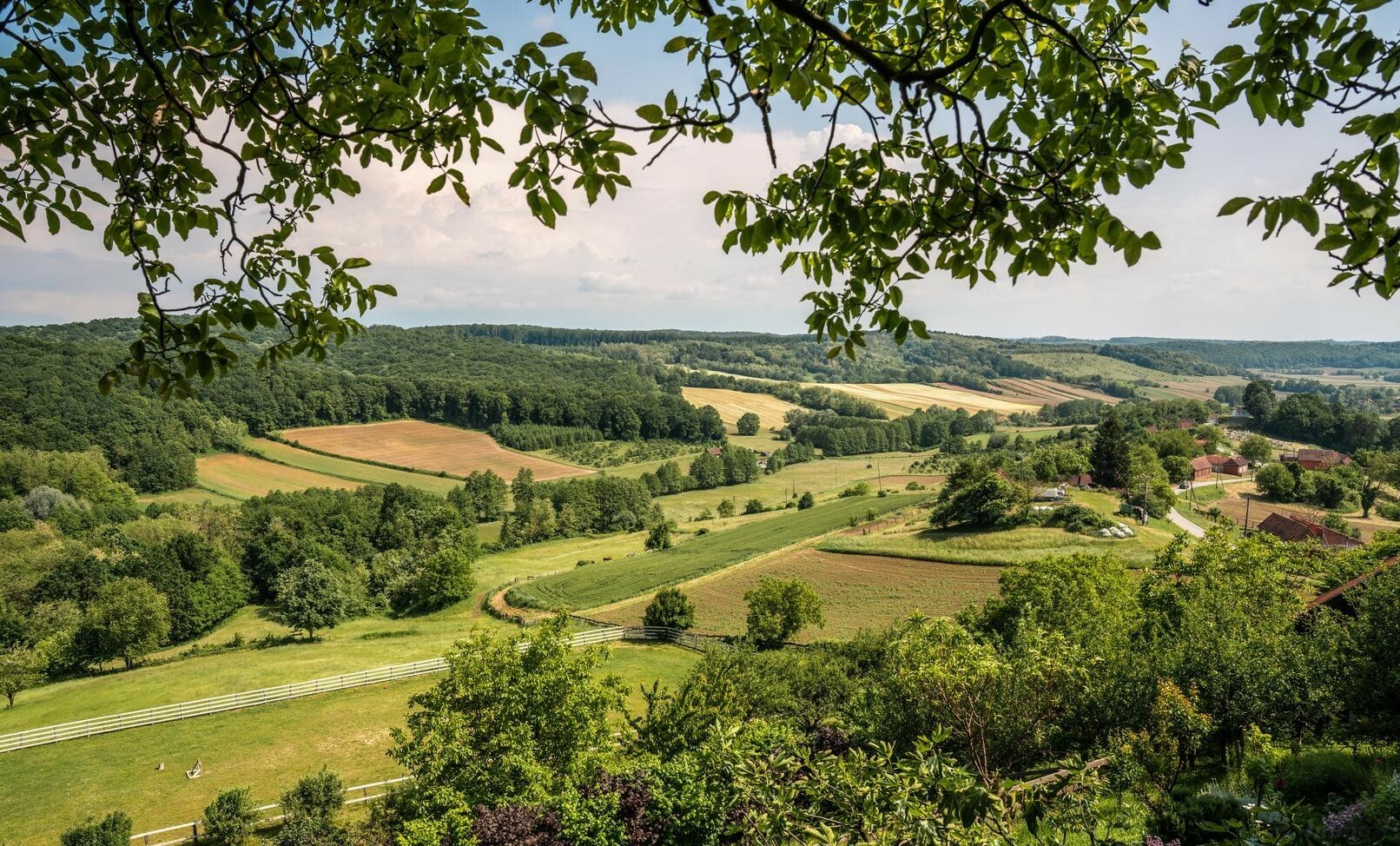 Landwirtschaft, 43271 Backovica