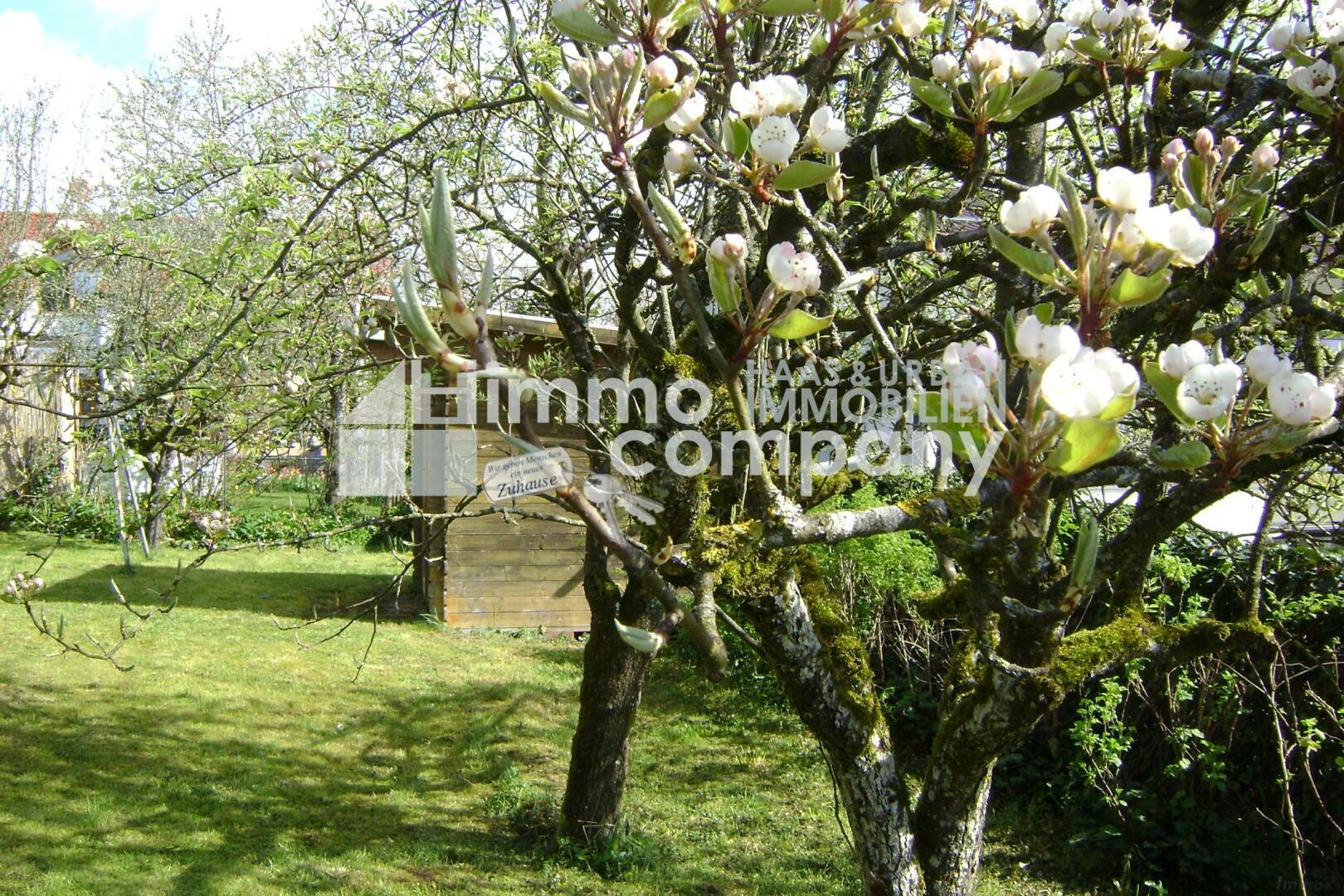 Obstgarten m. Hütte
