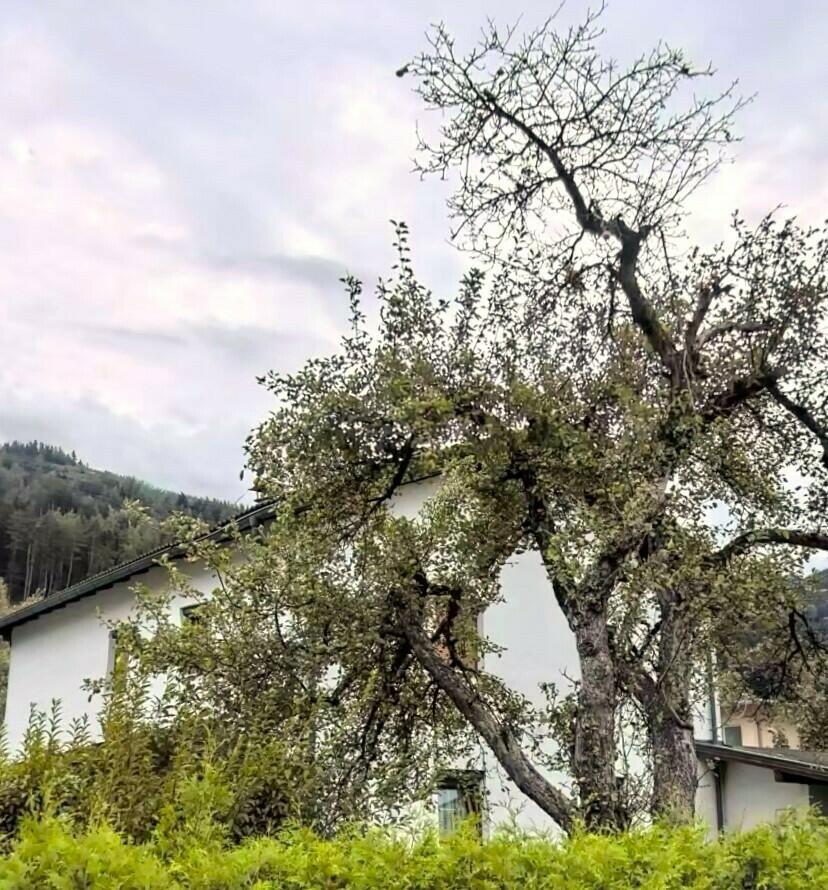 Nordostansicht