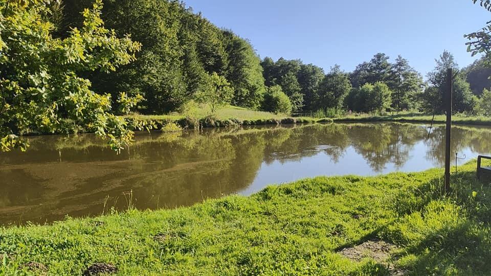 Anwesen bei NP  Lonjsko Polje - 6