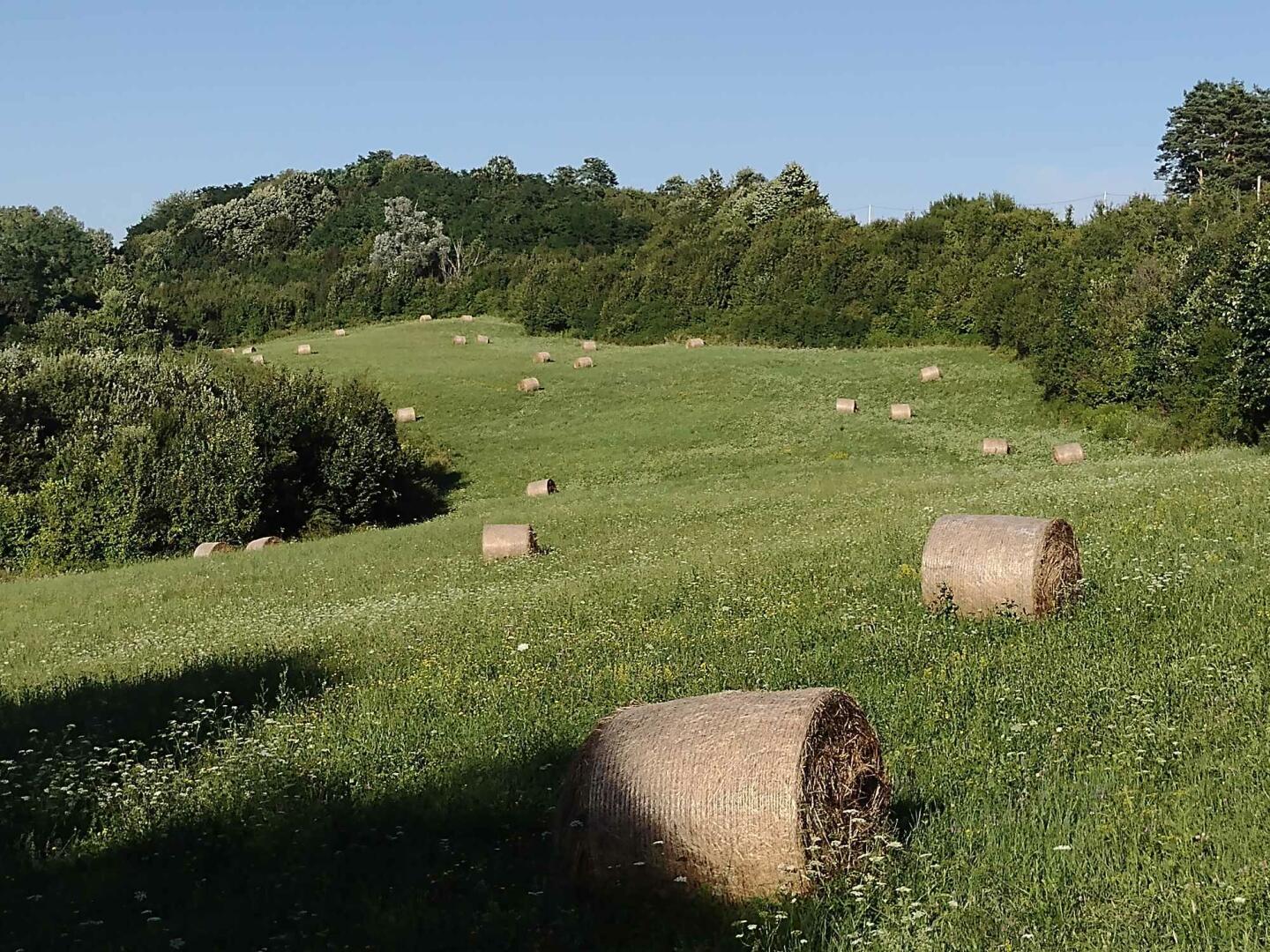 Zentral-Kroatien: Rohbau mit großem landwirtschaftlichen Flächen in herrlicher Lage