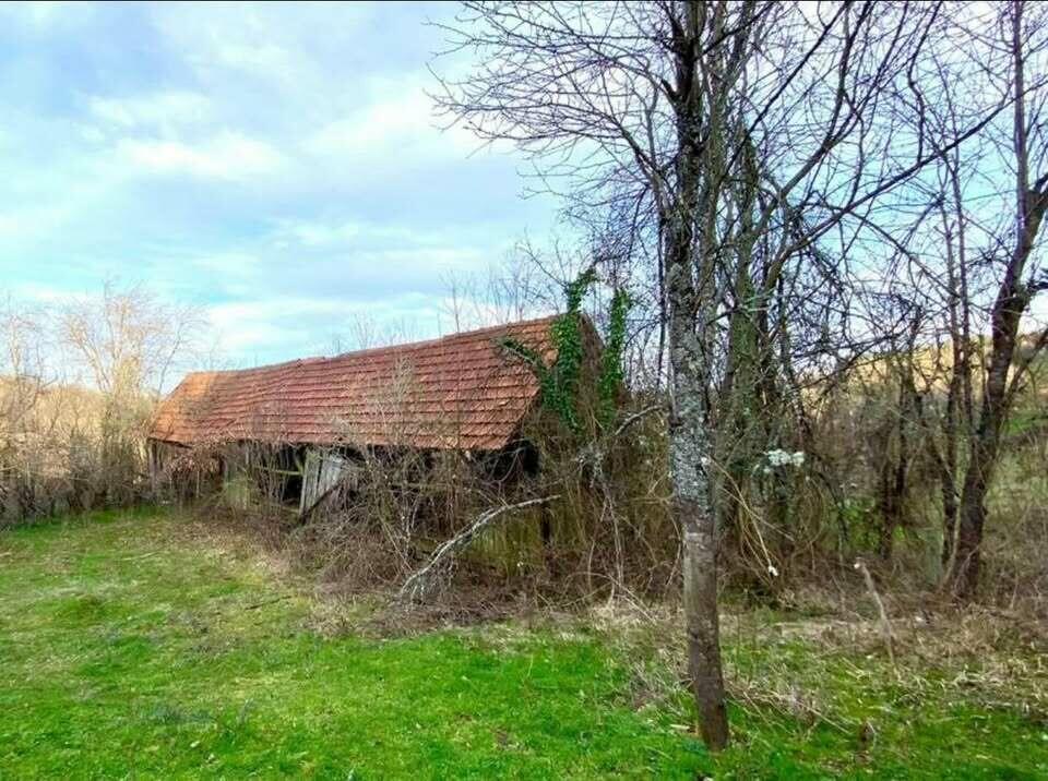 Landwirtschaftliches Anwesen 25.000 m2 - 3