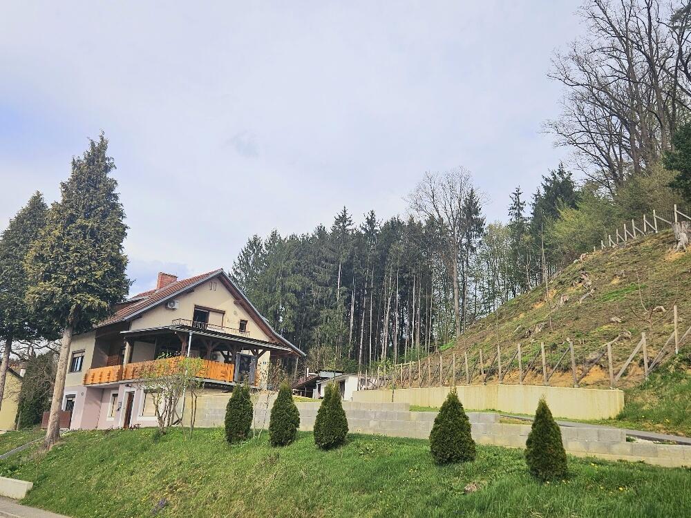 **Traumhaftes Mehrfamilienhaus im Grnen ? Landleben pur!** /  / 8413 Sankt Georgen an der Stiefing / Bild 3