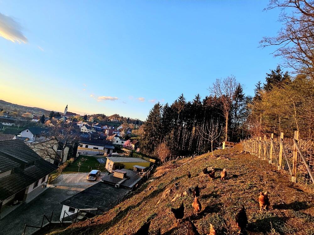 **Traumhaftes Mehrfamilienhaus im Grnen ? Landleben pur!** /  / 8413 Sankt Georgen an der Stiefing / Bild 3
