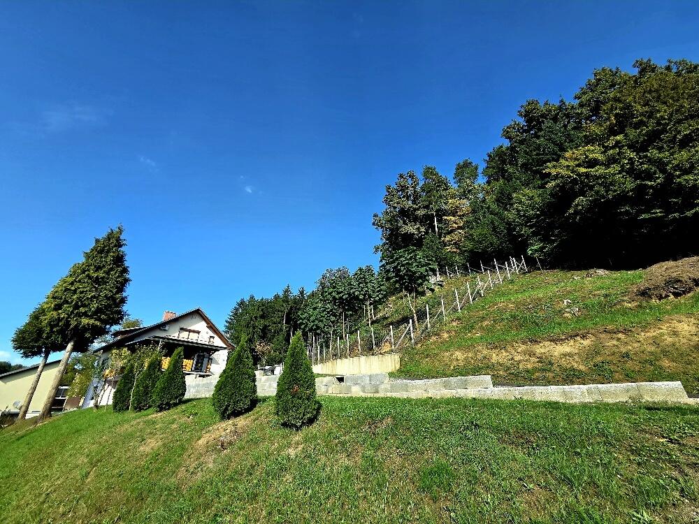 **Traumhaftes Mehrfamilienhaus im Grnen ? Landleben pur!** /  / 8413 Sankt Georgen an der Stiefing / Bild 3