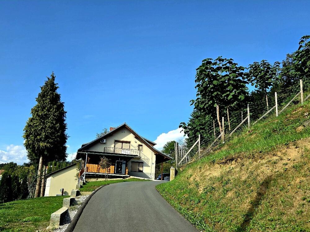 **Traumhaftes Mehrfamilienhaus im Grnen ? Landleben pur!** /  / 8413 Sankt Georgen an der Stiefing / Bild 2