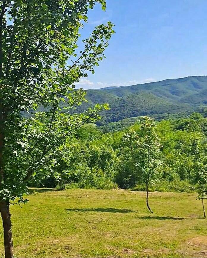 552658821_31855931924020074_595182183624473423_n