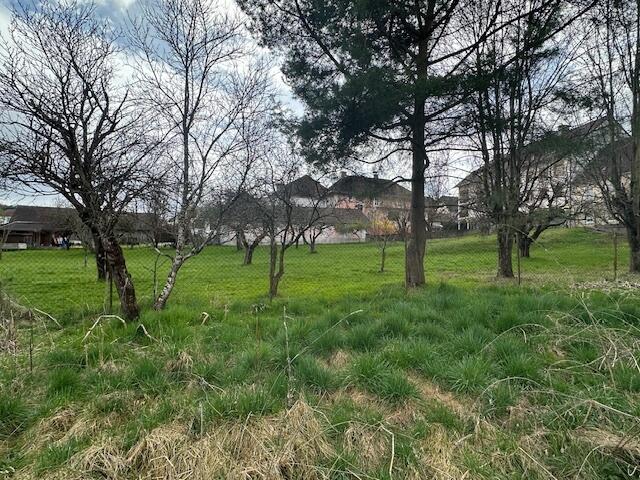Blick zum Nachbarn