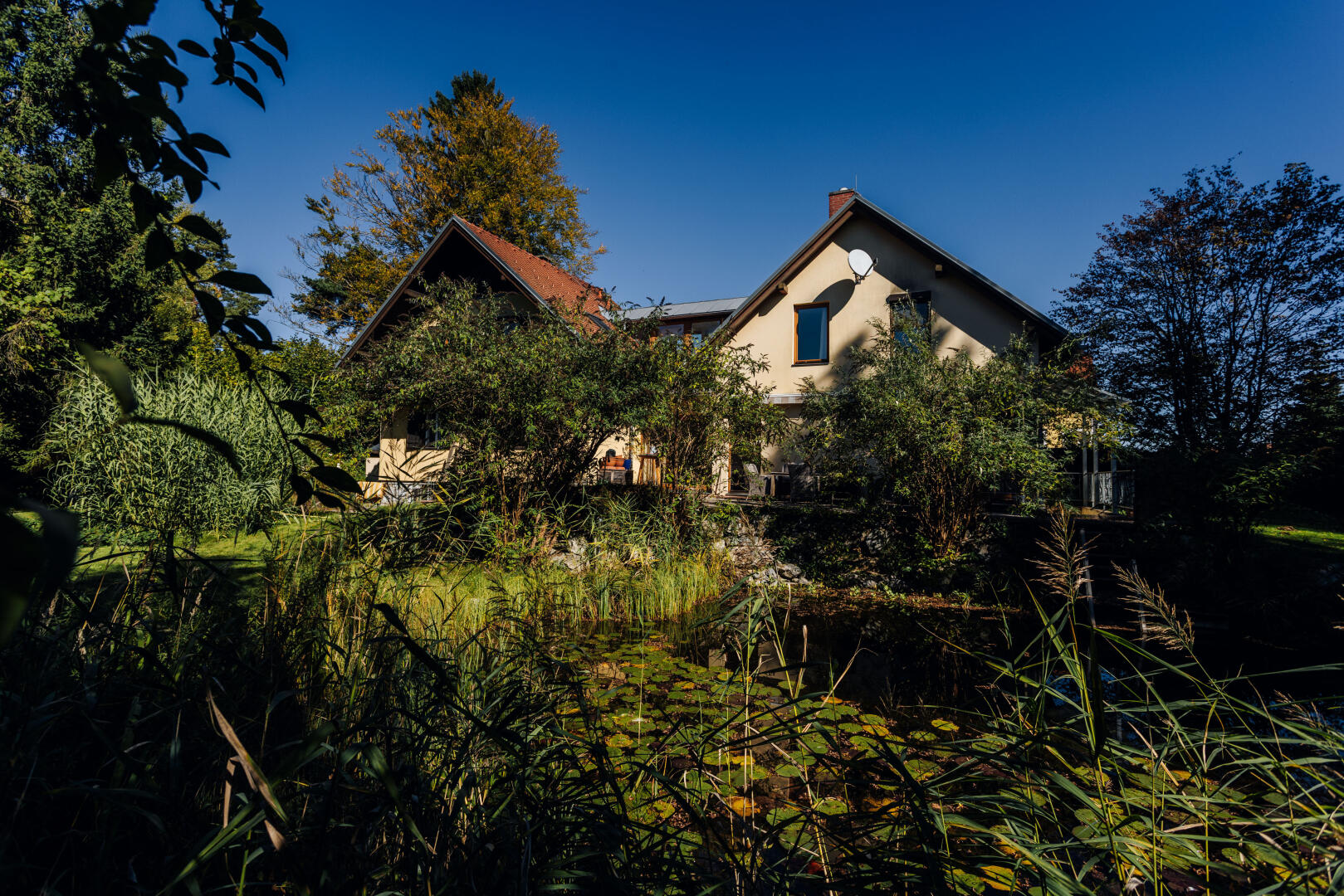 Hinteransicht Schwimmteich