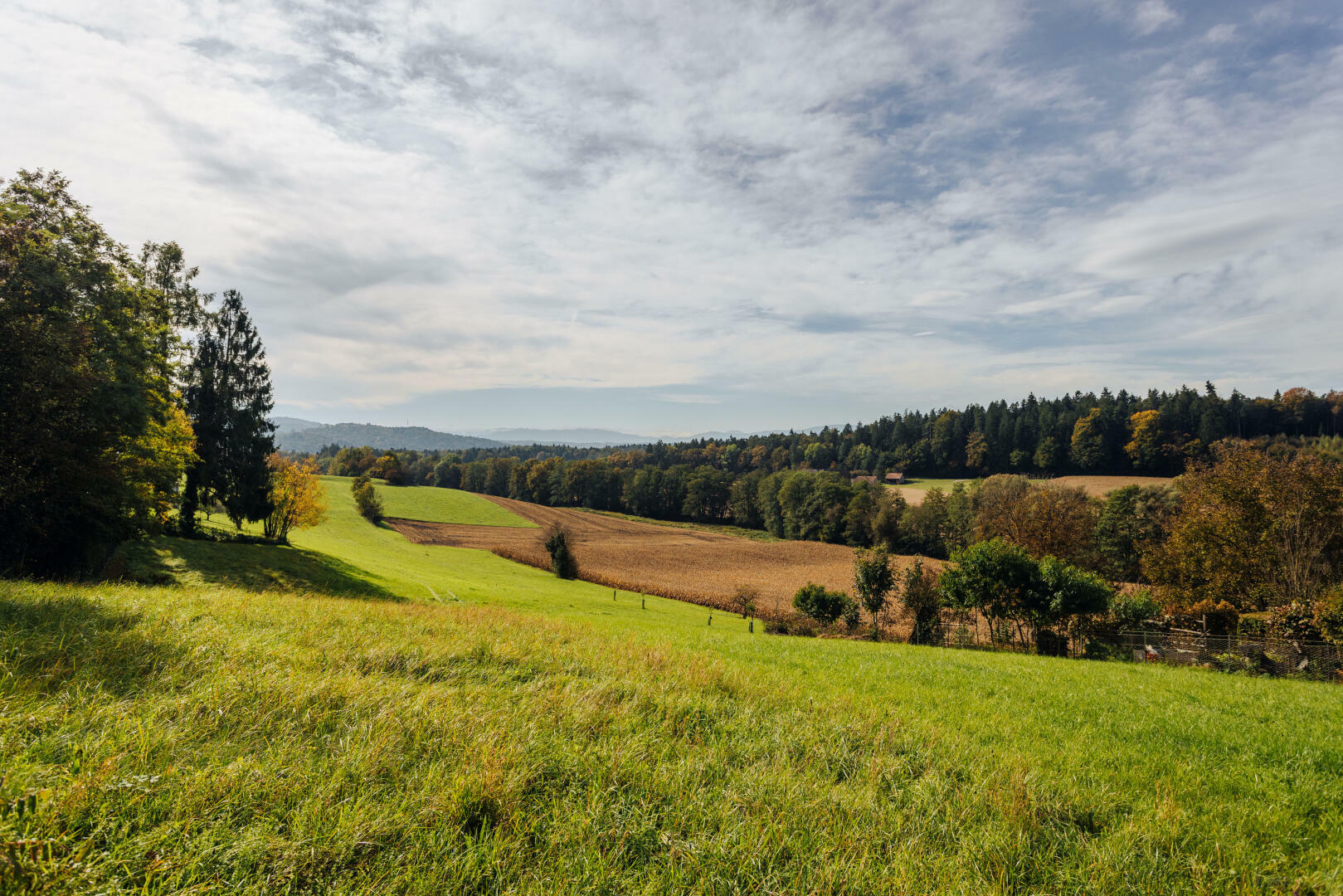 Bauerwartungsland mit Weganteil im Zentrum von Hengsberg