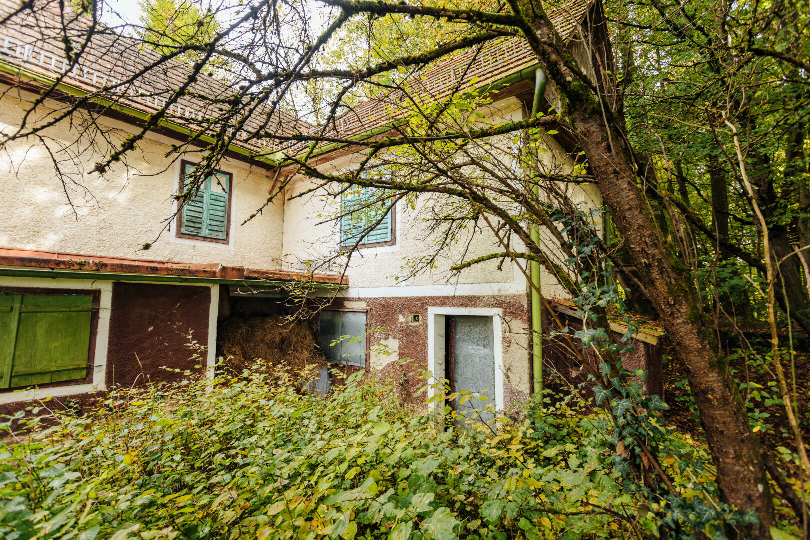 Einfamilienhaus sanierungsbedürftig