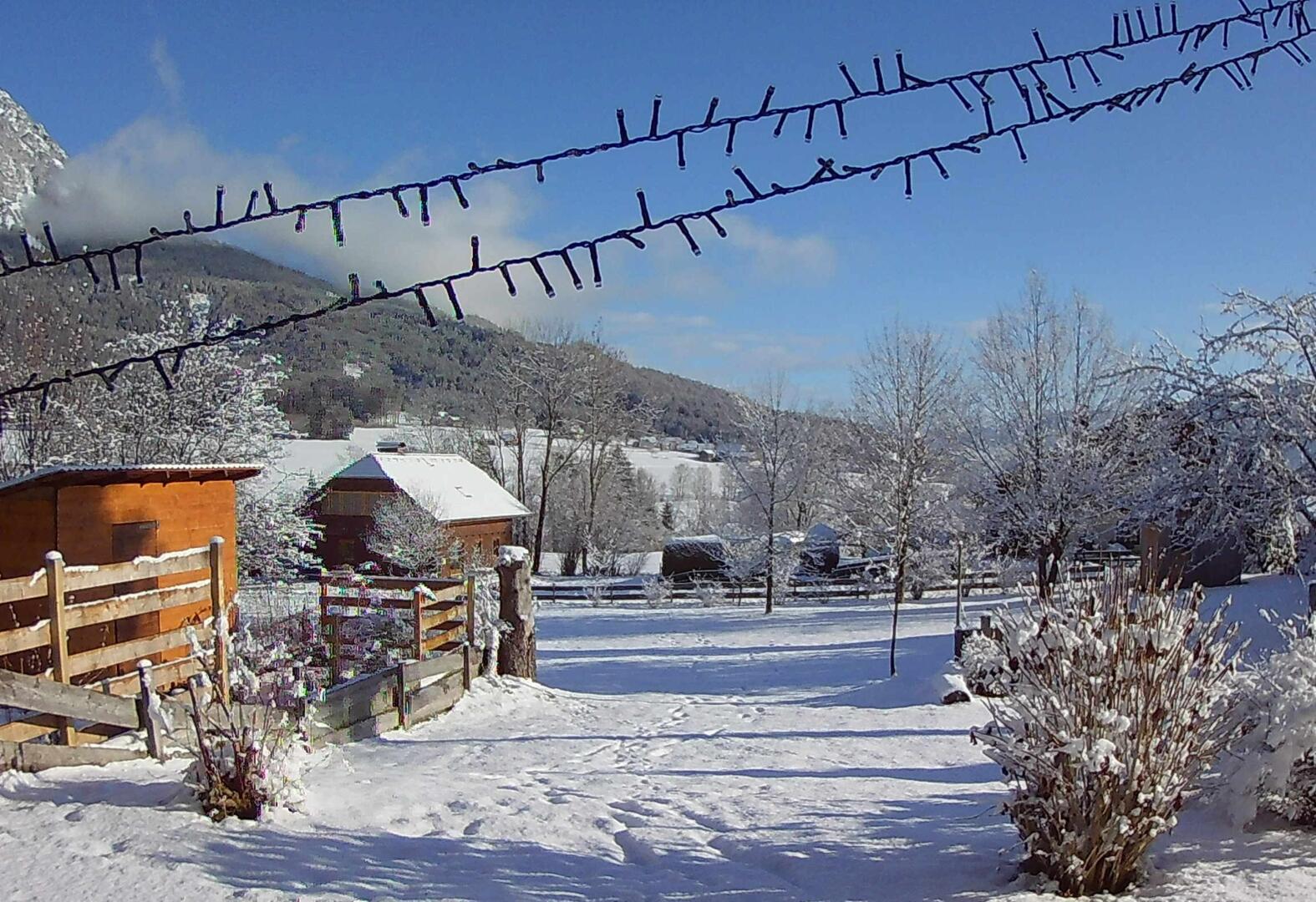 01 Fernblick Winter