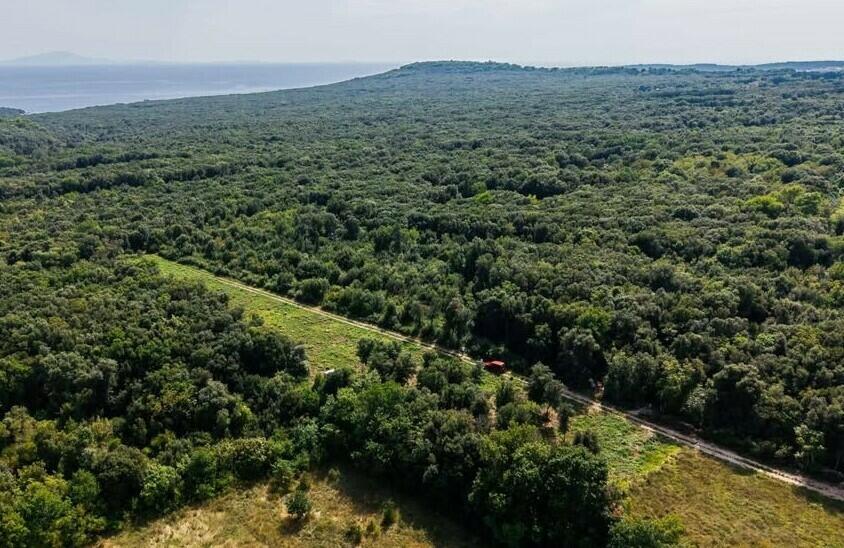 Kroatien/Istrien: Freizeitgrundstücke in herrlicher Grünlage nahe Liznjan, 1.200 m zum Meer