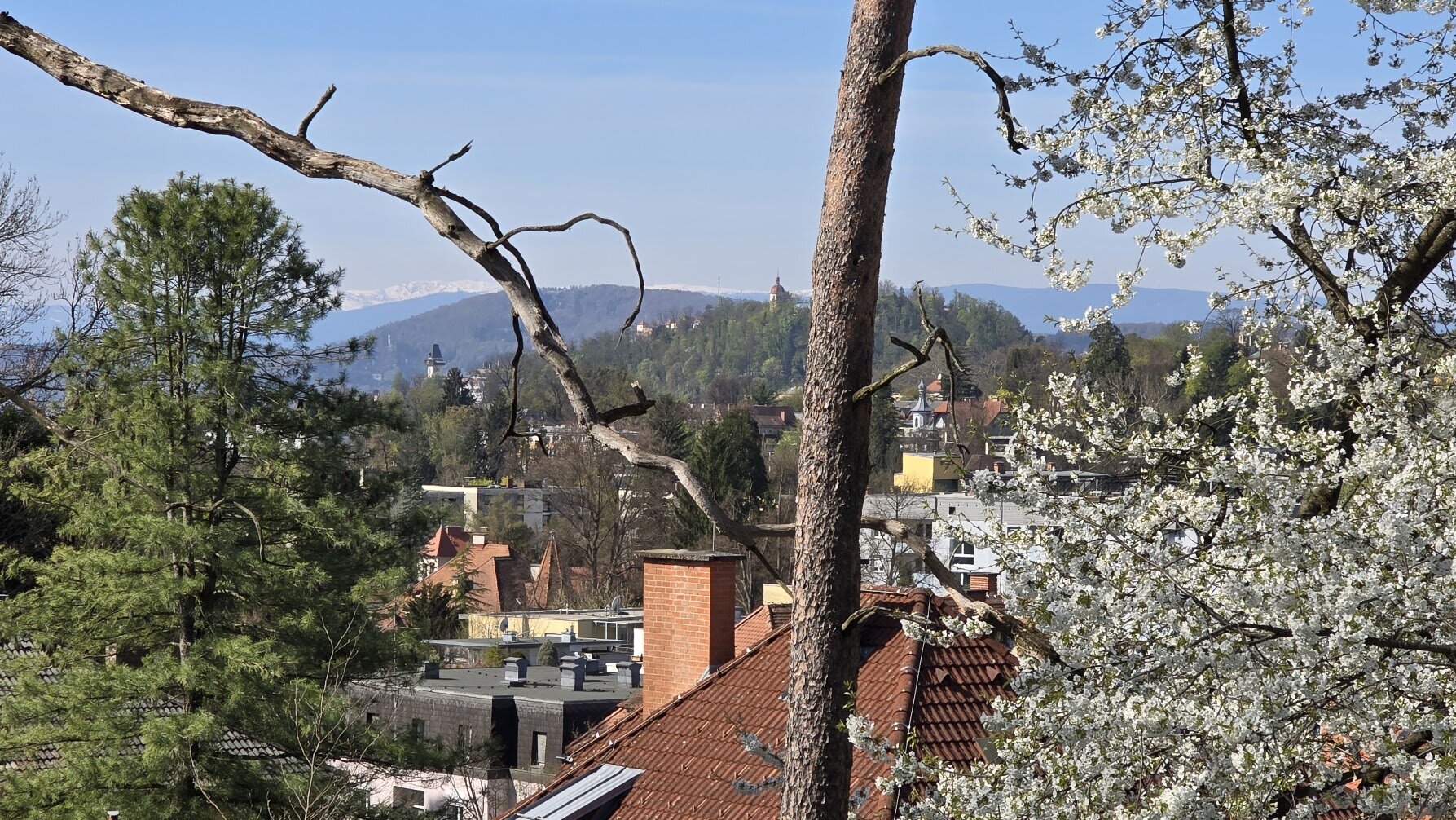 Schlossbergblick