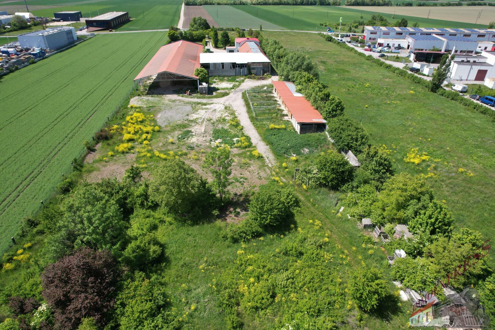 Gewerbe Grundstück in Trumau Bauland Betriebsgebiet