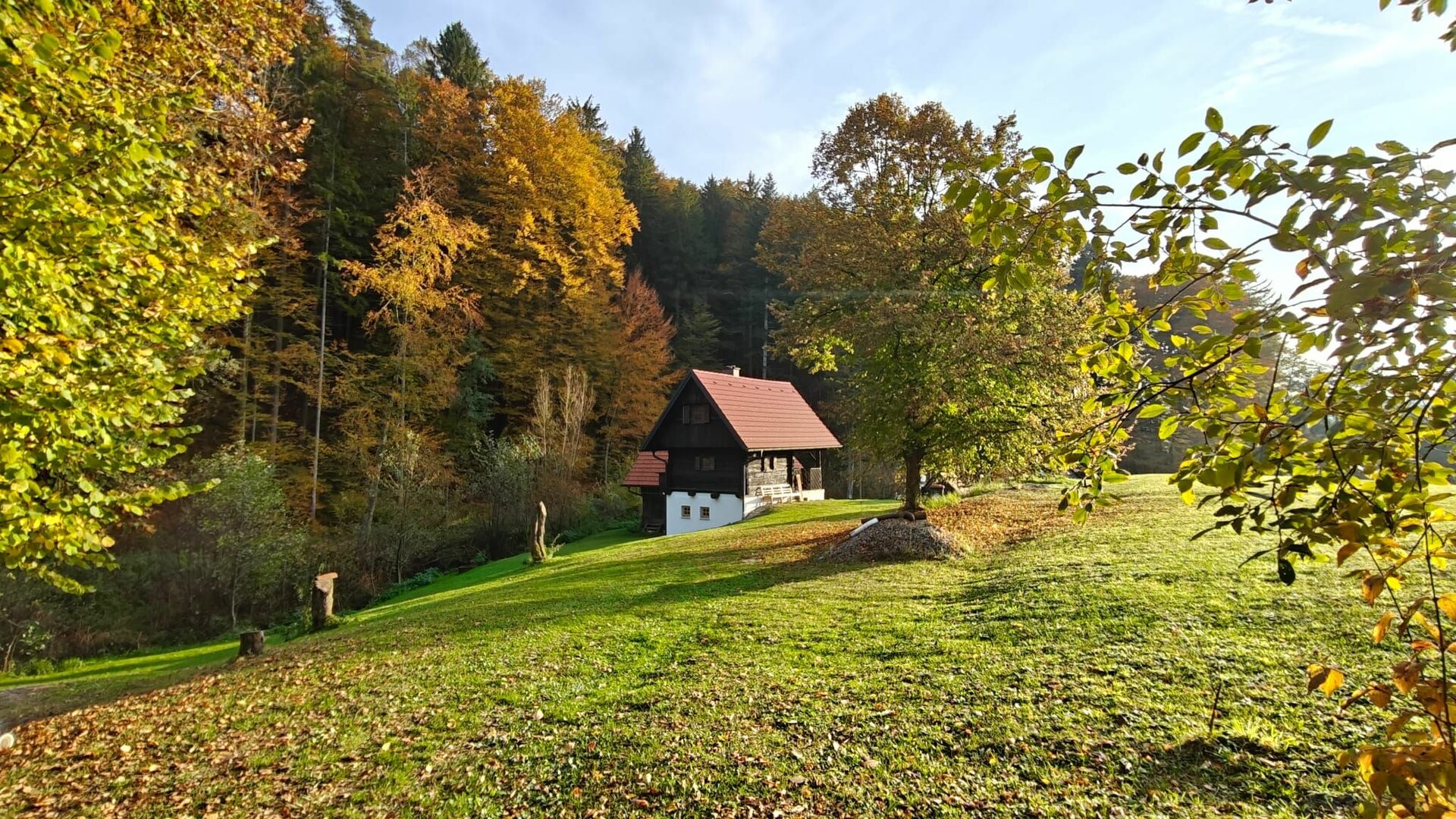Feriendomizil - Naturparadies mit eigenen Fischteichen, Bachzugang und bewilligtem Ausbau - 5.548m² Freiheit