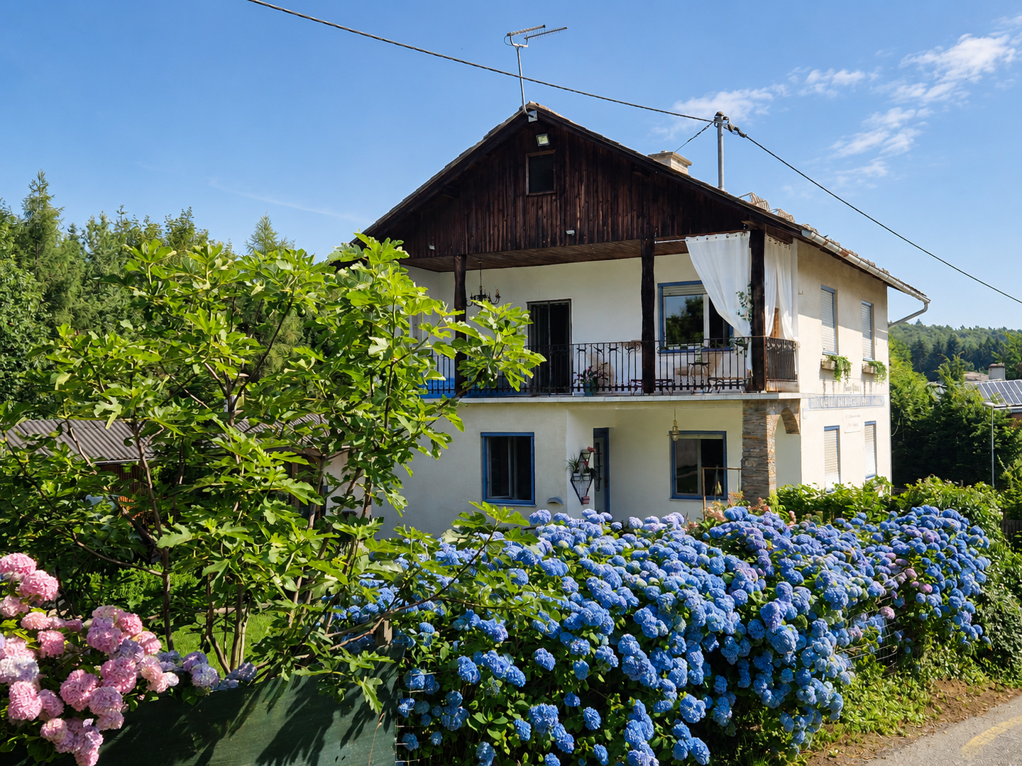 Ihr Zuhause im Grünen - modernisiertes Einfamilienhaus mit großem Garten in Gnaning bei Fernitz