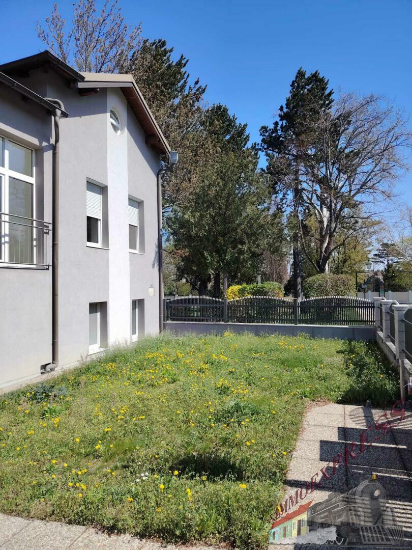 3 Garten