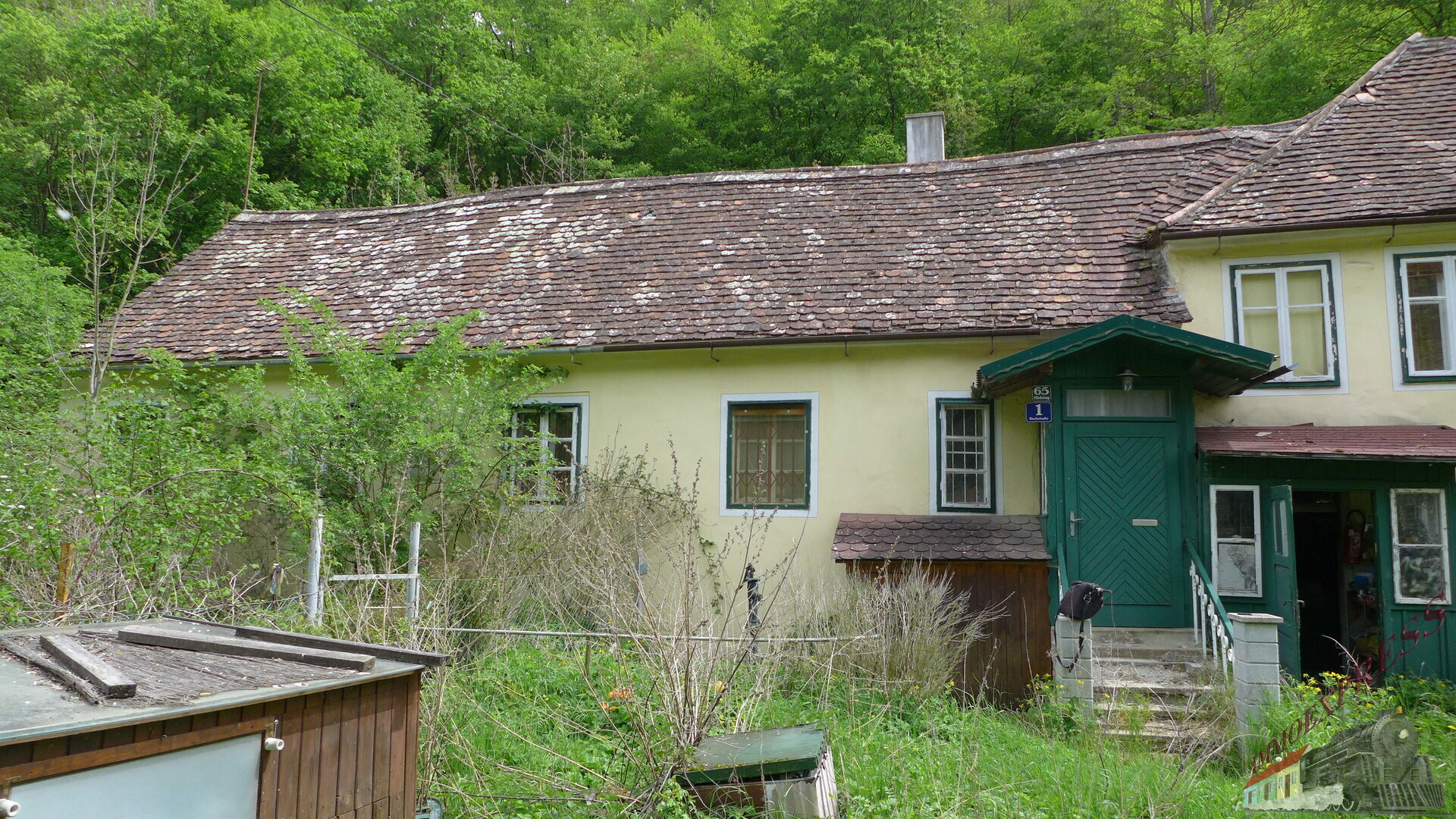 P1040850