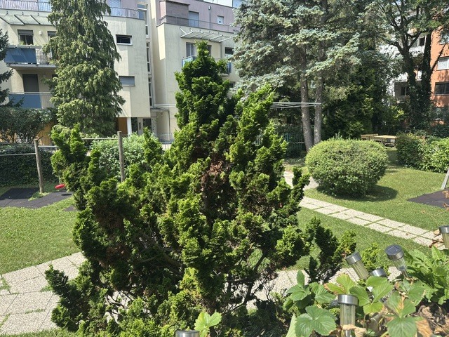 Ausblick vom verglasten Balkon