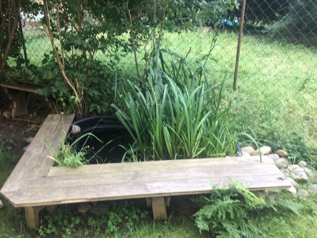 Garten im Hof