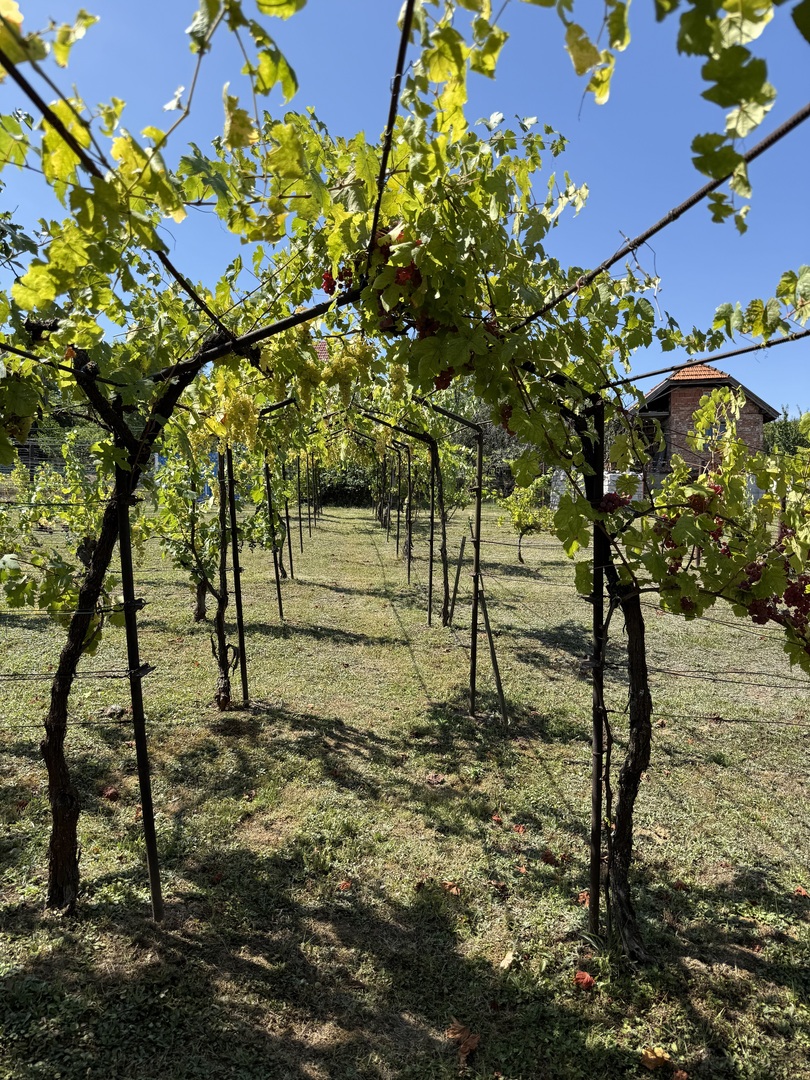 Foto14
