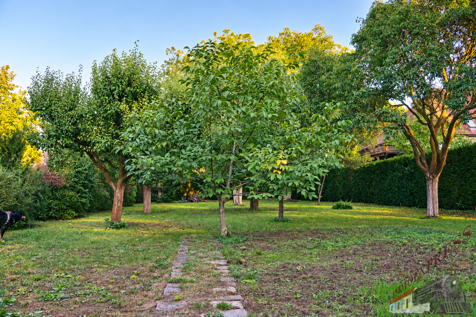 BAUGRUND MIT GARTENCHARAKTER – 781 m² IN WULLERSDORF