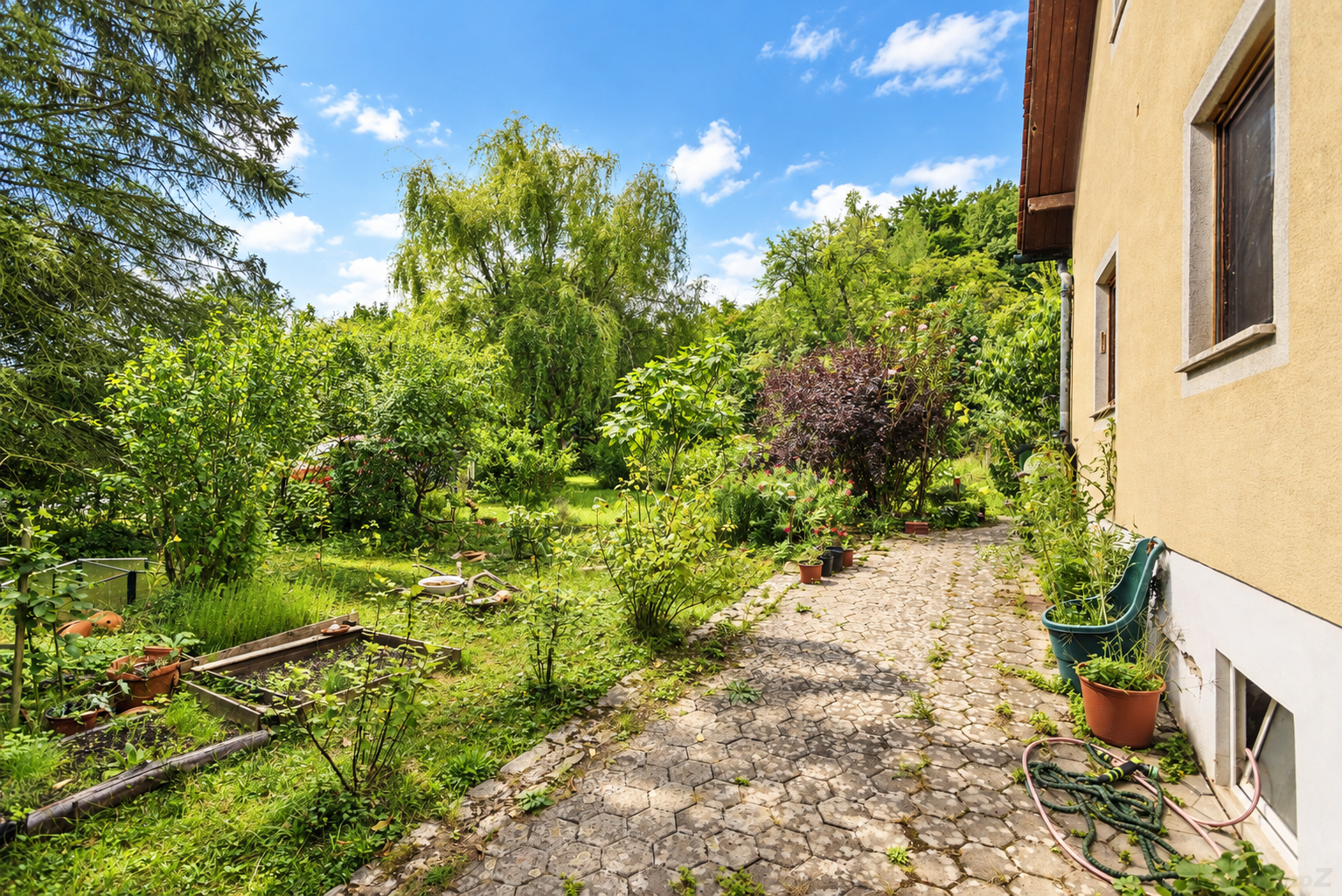 Foto_Fruehsommer_06