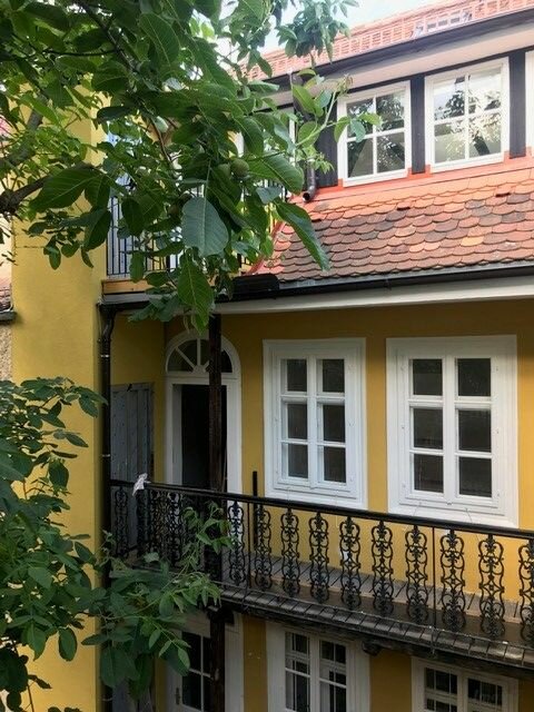 Zentrum, wunderschöne sanierte 2 ZI Wohnung mit hochwertiger Ausstattung