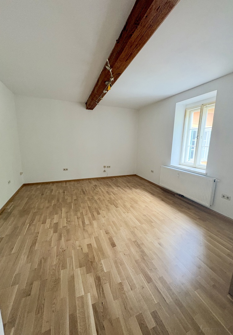 Sanierte Garconniere im Unigebiet, Altbau - mit Balkon