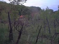 Herrliche Liegenschaft mit renovierungsbed. Landhaus in Slovenien, Nähe Grenzübergang Mureck